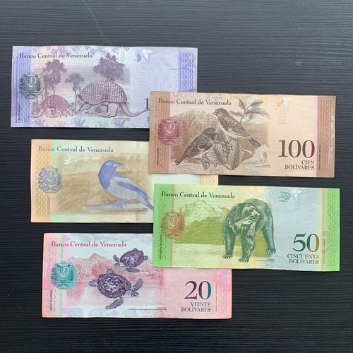 Venezuela Animal Banknotes Set – 6 Piece Wildlife Paper Money Collection, Unique Gift Idea