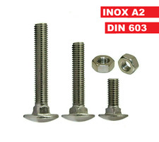 Viti Bulloni Perni in Acciaio Inox M5 M6 M8 M10 Testa Tonda Quadro Sot. 5732 603