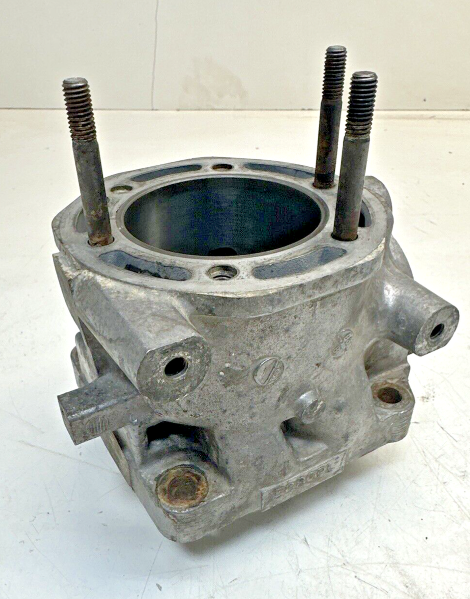 1996-1998 Polaris Storm 800 Triple Snowmobile Engine EC80PL