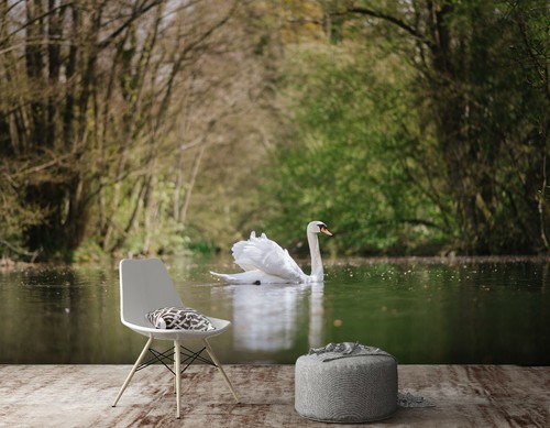 3D White Swan British Lake C12 Animal Wallpaper Mural Self-adhesive Removable Zo - Picture 2 of 12