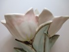 Bild 8 von 12
