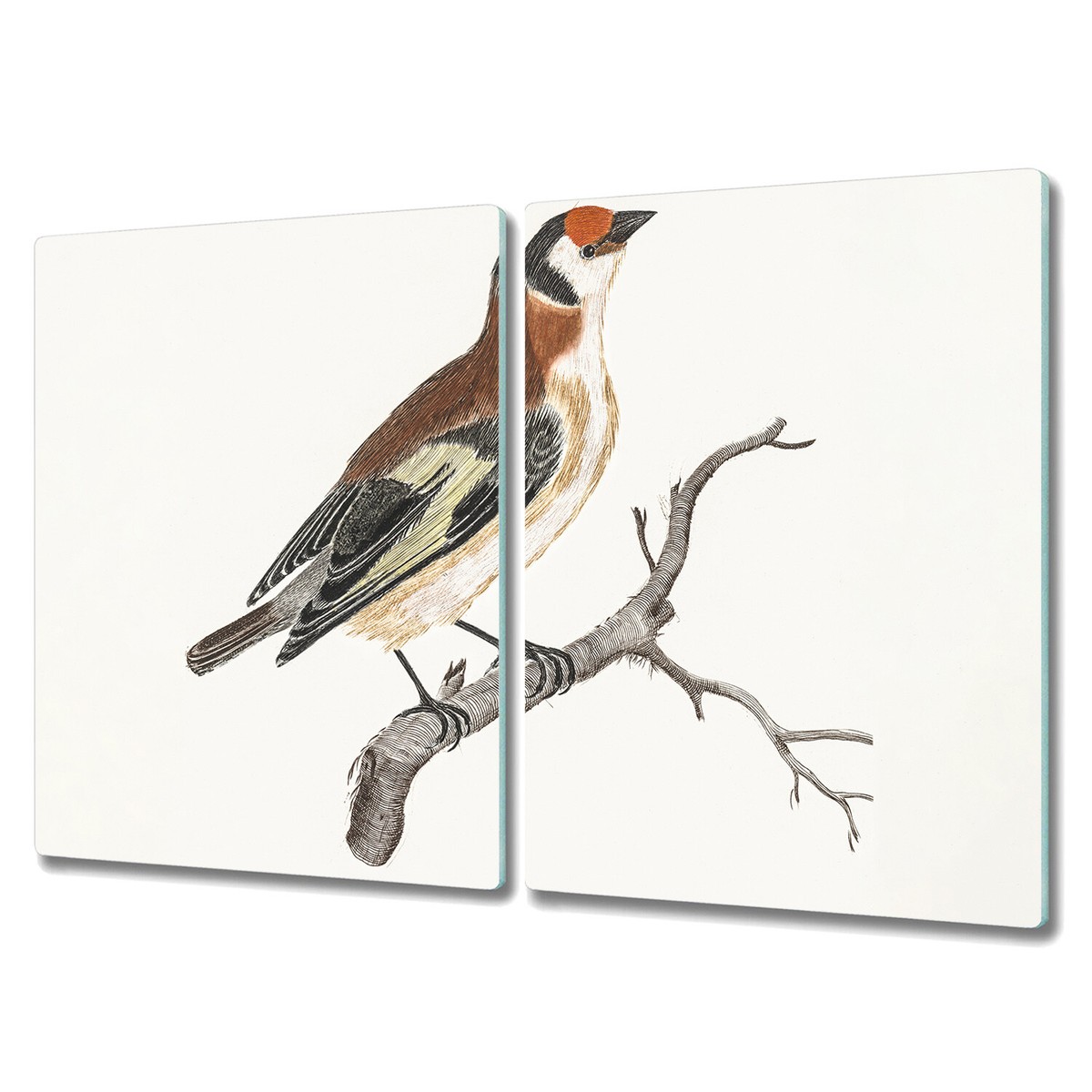 Planche à Découper En Verre – Motif Hibou Sur Branche – 2 Planches 40x52 Cm – Verre Trempé