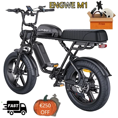 ENGWE E Bike Herren Elektrofahrräder-Ebike mit einem 250W E-Bike 20 * 4.0 Zoll