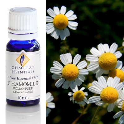 Gumleaf Essentials - Chamomile Roman - Pure Essential Oil - 10 mL