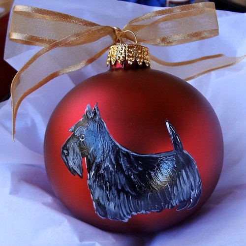 Scottish Terrier Dog My Obsession, Any Questions? T-shirt Choices - Picture 6 of 11