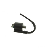ZüNdspule Originalersatzteil FüR Honda PCX 125 EX2 WW 125 CBS Bj. 2010-2011