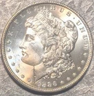 1886 (P) Morgan Silver Dollar  -  Looks UNC  -  UNIMPOSSIBLE FIND!