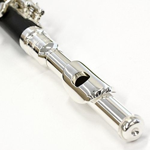 Kaerntner Piccolo KPC-320 With semi-hard case Silver plating finish JAPAN #h84 - Picture 5 of 8