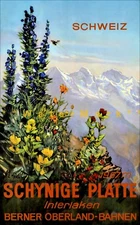 Switzerland 1950 Schynige Platte Vintage Poster Print Retro Style Travel Art 