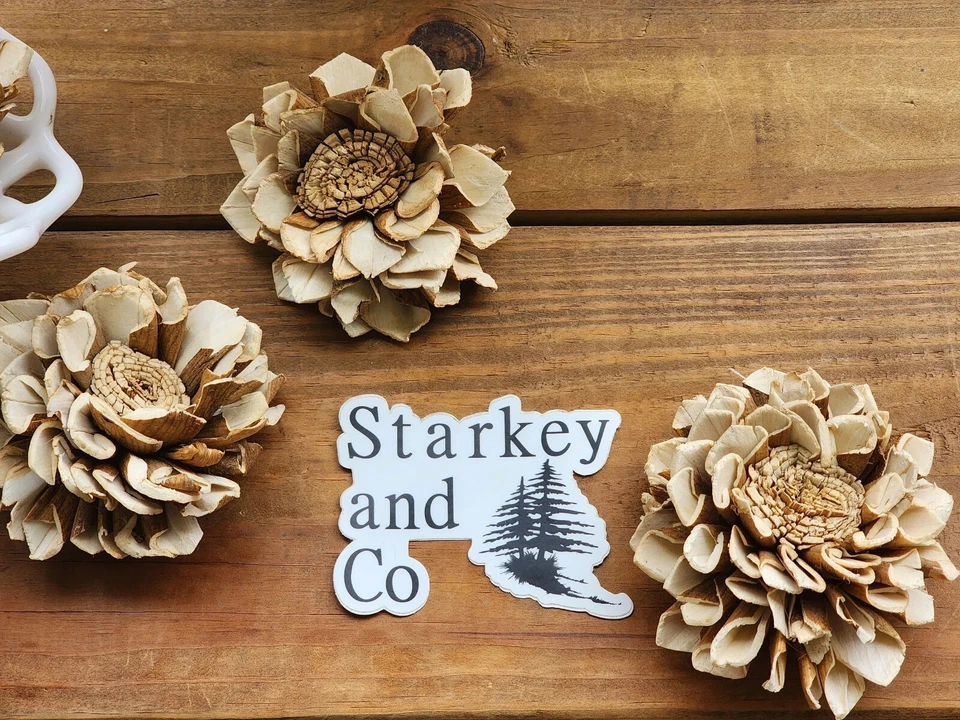 Wood Flowers, Skinned Flat Centered Dahlia (Set of 12) - Image 2 of 4