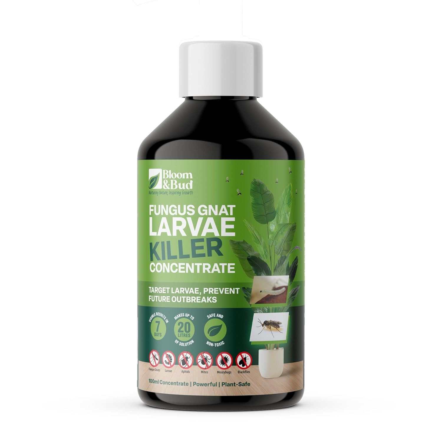 Fungus Gnat Larvae Killer Concentrate (100Ml) – Makes 20 Applications – Fast-Act