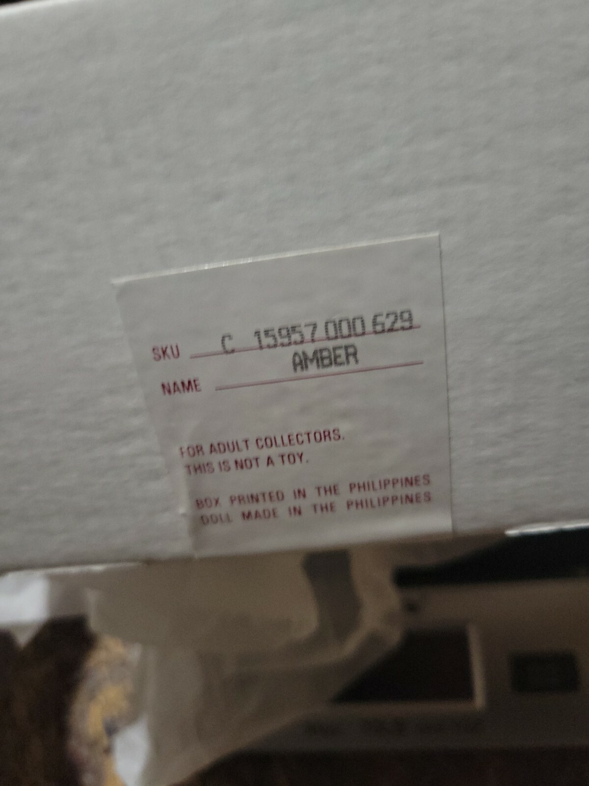 Foto 5 di 6
