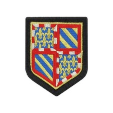 ECUSSON BRODE REGION BOURGOGNE COULEUR COLLECTION PATCH SUR SCRATCH NEUF