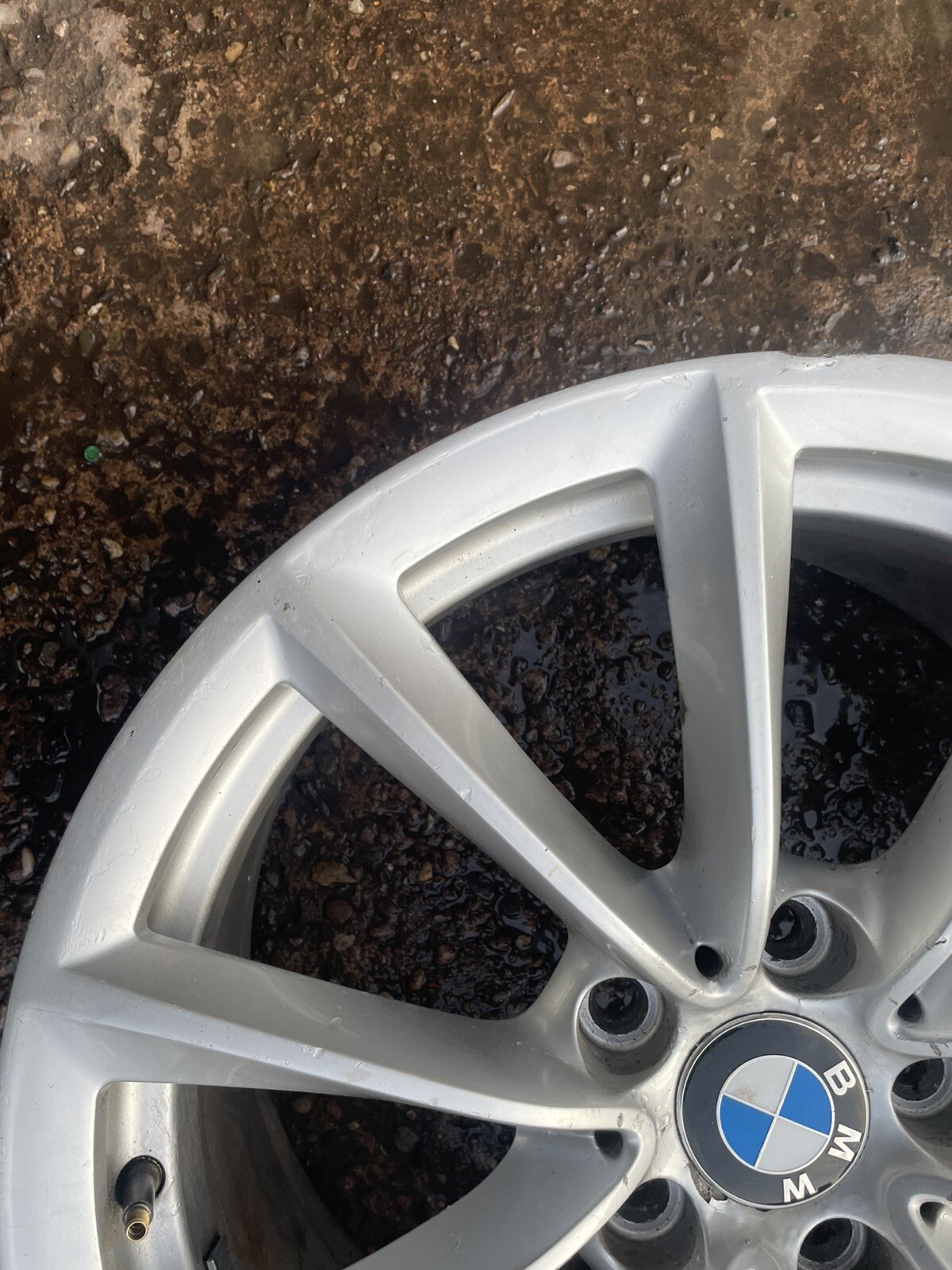 Picture 6 of 14