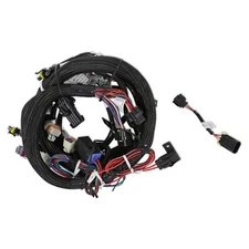 Holley EFI 558-103 LS2/3/7+ (58x/4x) Engine Main Harness