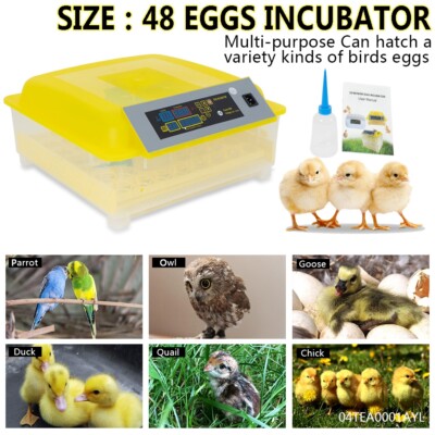 Digital Hatcher Breed Warmer Auto Temperature Control 48 Grid Incubator New
