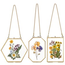 3 Pcs Double Glass Frame for Pressed Flowers- Hanging Golden Glass Frames wit...