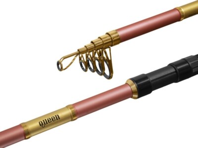 Delphin QUEEN Karpfenrute Teleskoprute Tele Rosa Länge 3 m WG: bis 100g