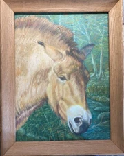 Realism oil on Masonite - 1971 - Wild Horse - Artist: Harry Beukelaer