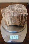 3lb 41oz Natural Petrified Wood Fossil Specimen
