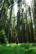 Digital Image Picture Photo Pic Wallpaper Background Person Standing In Woods