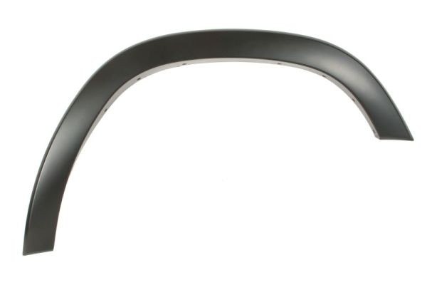 Right Front BLIC 5703-08-0936372P Trim/Protection Strip, wing