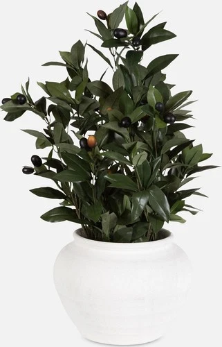 Uttermost 60236 Elena Olive 28" Tall Ceramic Faux Flora Planter - Off White - Picture 3 of 3