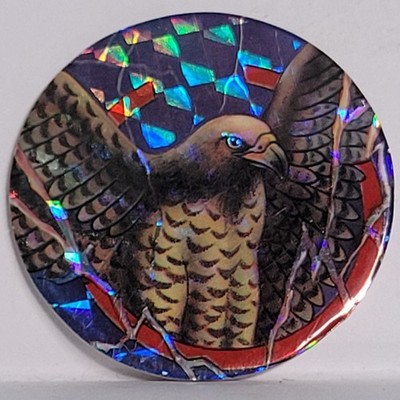 Vintage Pog * FOIL * Eagle USA * Bin165