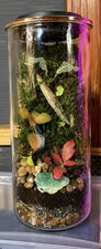 Glass Terrarium with Solar Accent Light