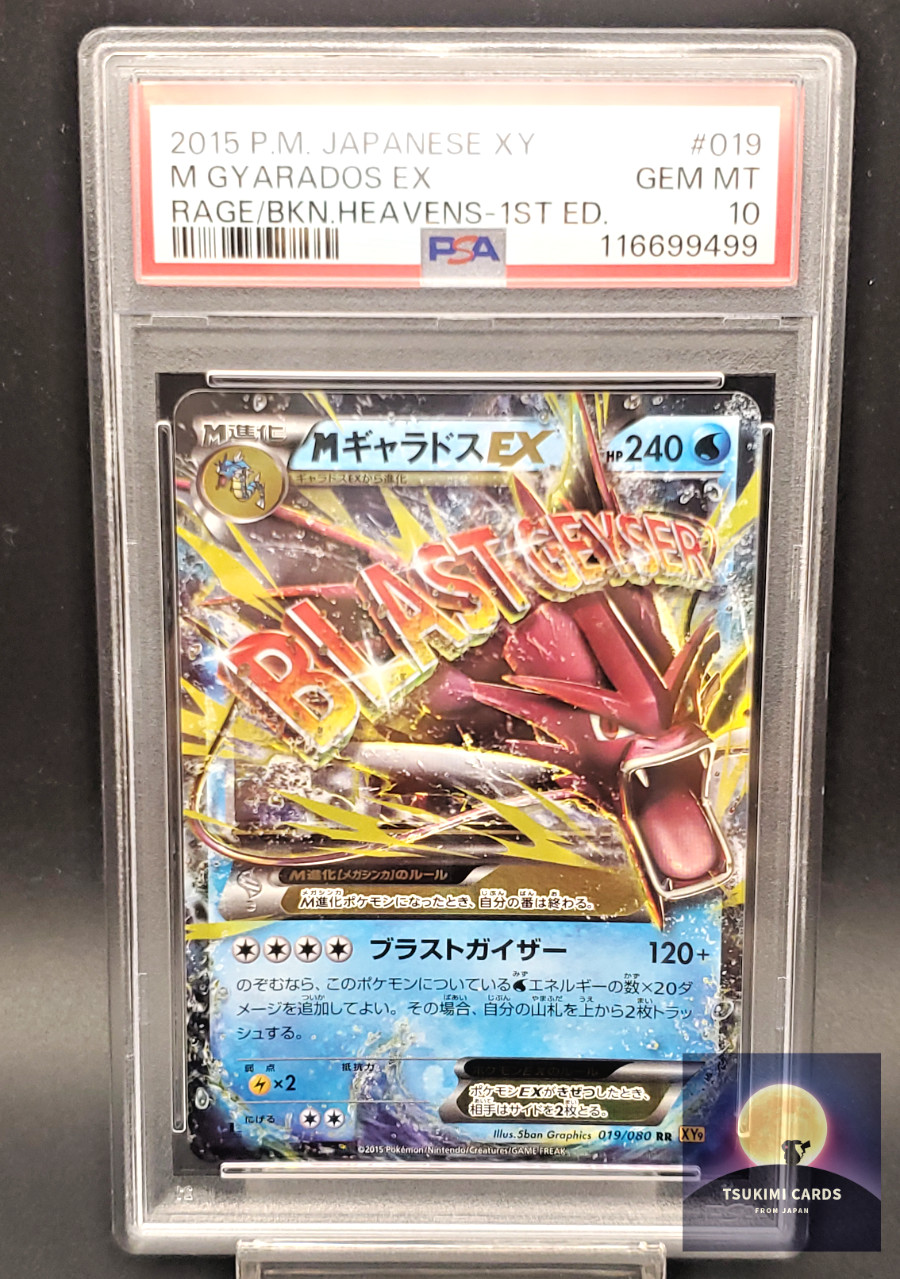 POKEMON CARDS PSA 10 JAPANESE XY