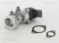 Links Triscan 8813 10009 Agr-Ventil FüR CitroËN,Jaguar,Land Rover,Peugeot