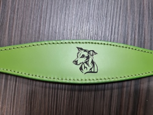 Italian Greyhound collar 10-12 Inch soft leather SECONDS / SAMPLE IGGY 3 - Picture 4 of 6