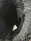 Bild 7 von 8