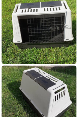 Hundebox Ferplast 100