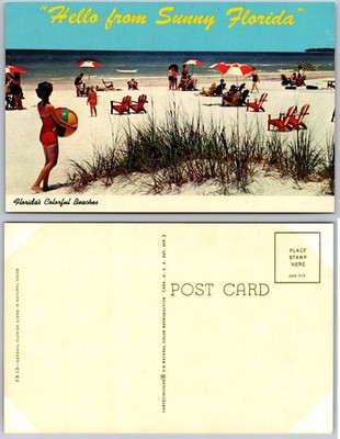 Beach Umbrellas Hello from Sunny Florida Postcard