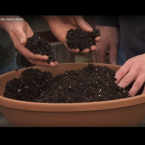 Coast of Maine OMRI gelistet Bar Hafen Mischung Bio Kompost Blumenerde... - Bild 4 von 4