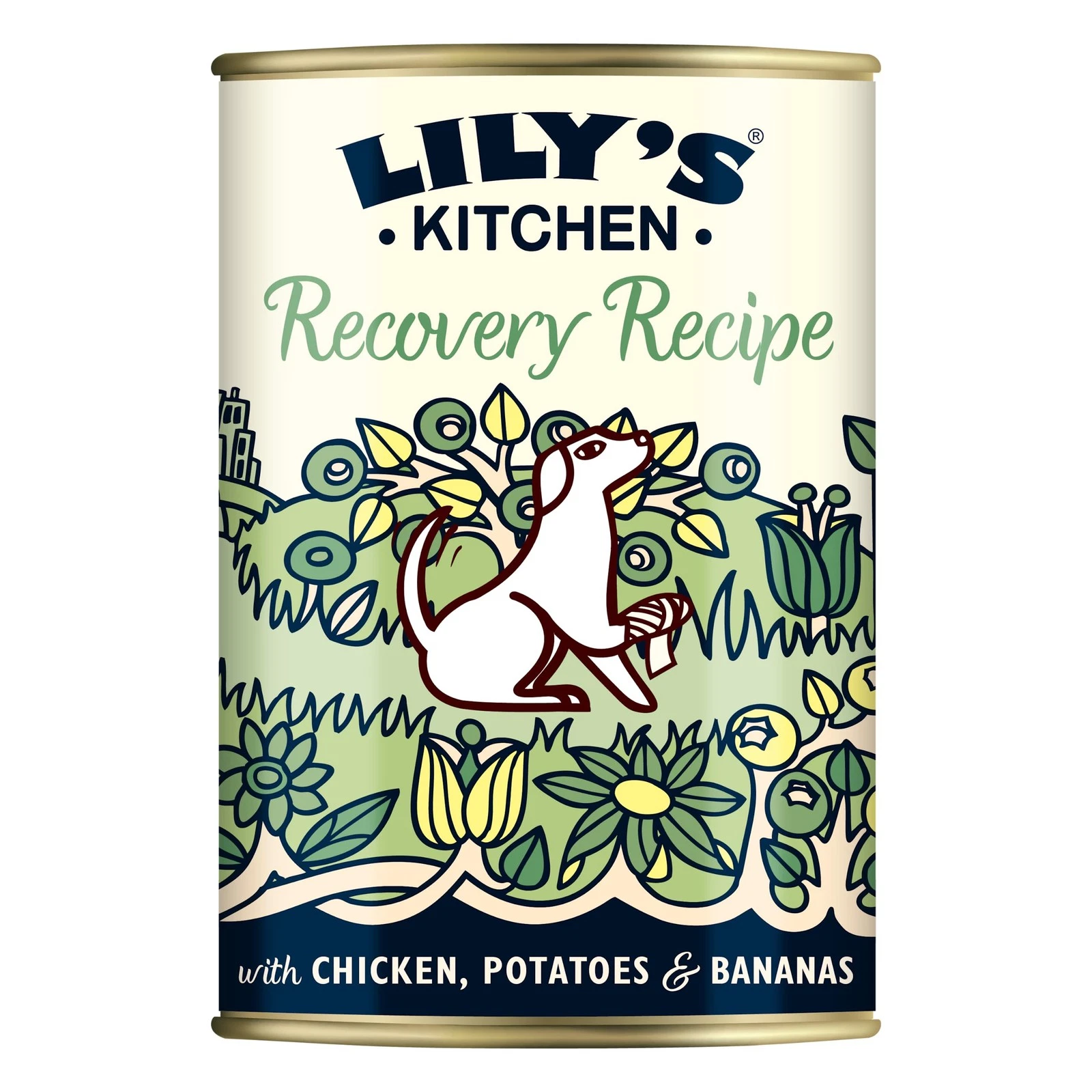 Lily's Kitchen Made with Natural Ingredients Adult Wet Dog Food Tin Rest Up UK