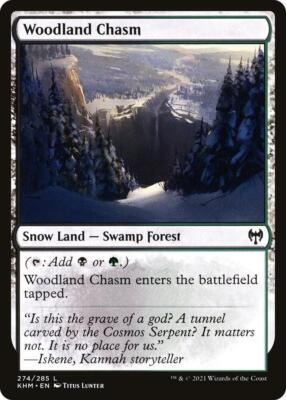 black snow cards mtg The Bridge of Death [Door to Nothingness] (1678) (Borderless) (SLD) main image 1