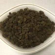 Alder Cones (~2cm) 1kg ~2000pcs, Alnus glutinosa, Black Alder Cones, Black Alder