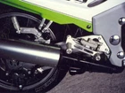 Gimbel Footrest System Kawasaki ZZR 1100 (ZXT10C) | 90-92 | Silver with TÜV-G...