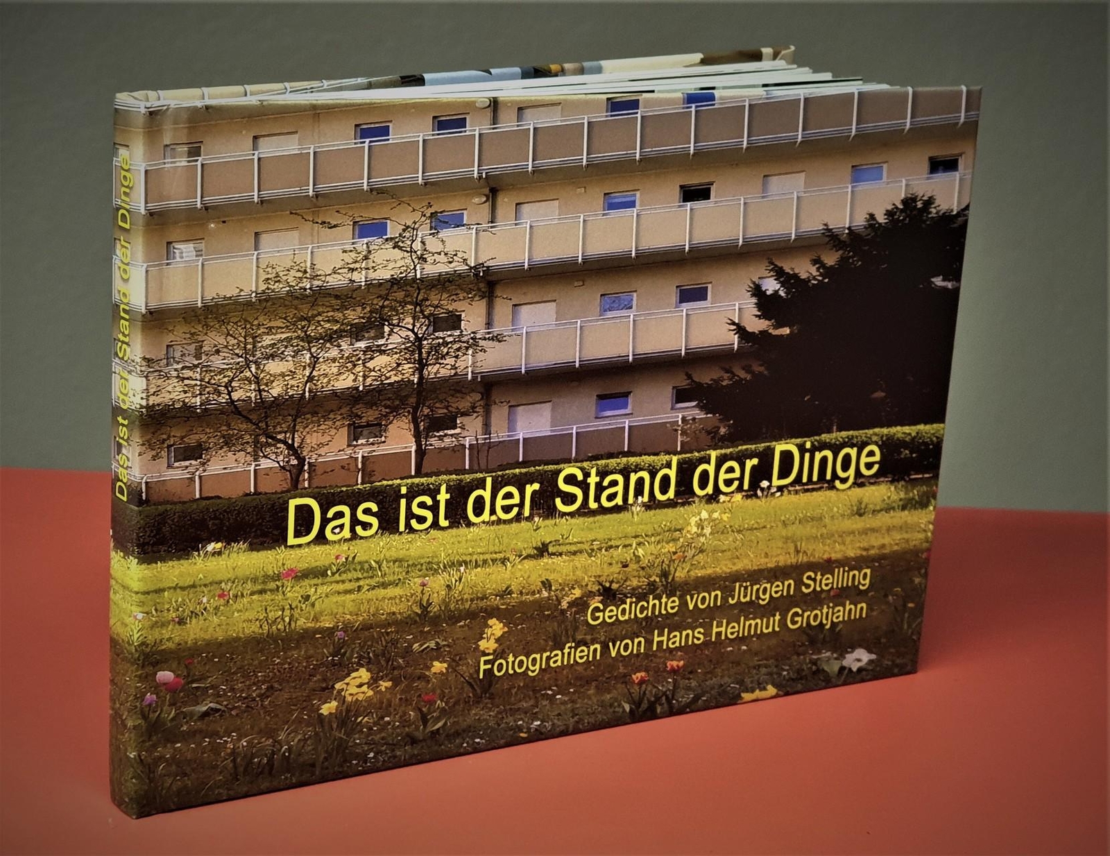 Thumbnail - Das Ist Der Stand Der Dinge Jürgen Stelling