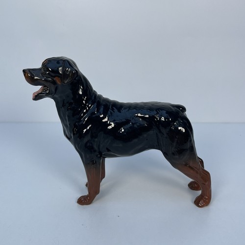 Royal Doulton Rottweiler Dog Figurine Vintage Large Made In England 8x7” VGC - Picture 2 of 12