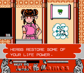 Conquest Of The Crystal Palace - NES Nintendo Game