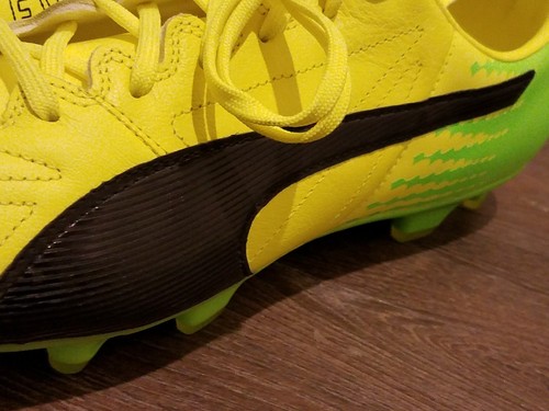 puma evospeed 17.2