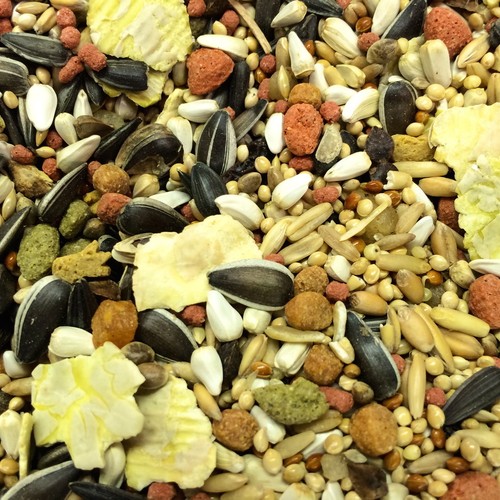 Higgins Vita Seed Fruit Blend Nut Bird Food para Chile Ubuy