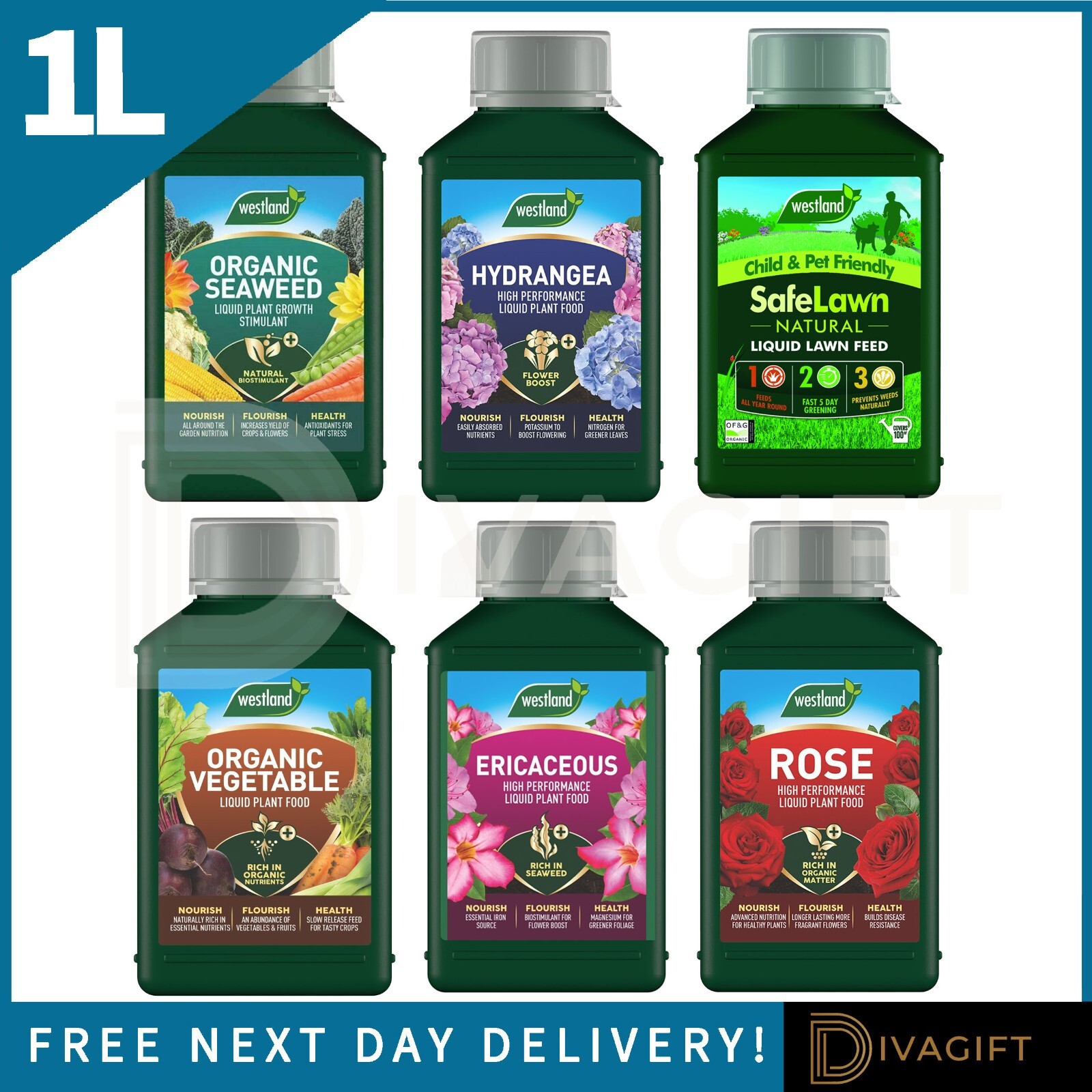 WESTLAND 1L LIQUID PLANT FOOD ORGANIC SEAWEED HYDRANGEA VEGETABLE ROSE