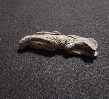 Lizard Zuni Fetish Carving Signed AM Mint Turquoise Inlaid Eye ** Cross Hatched