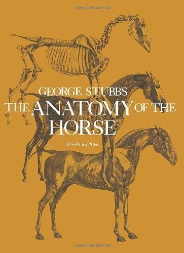 Anatomy of the Horse