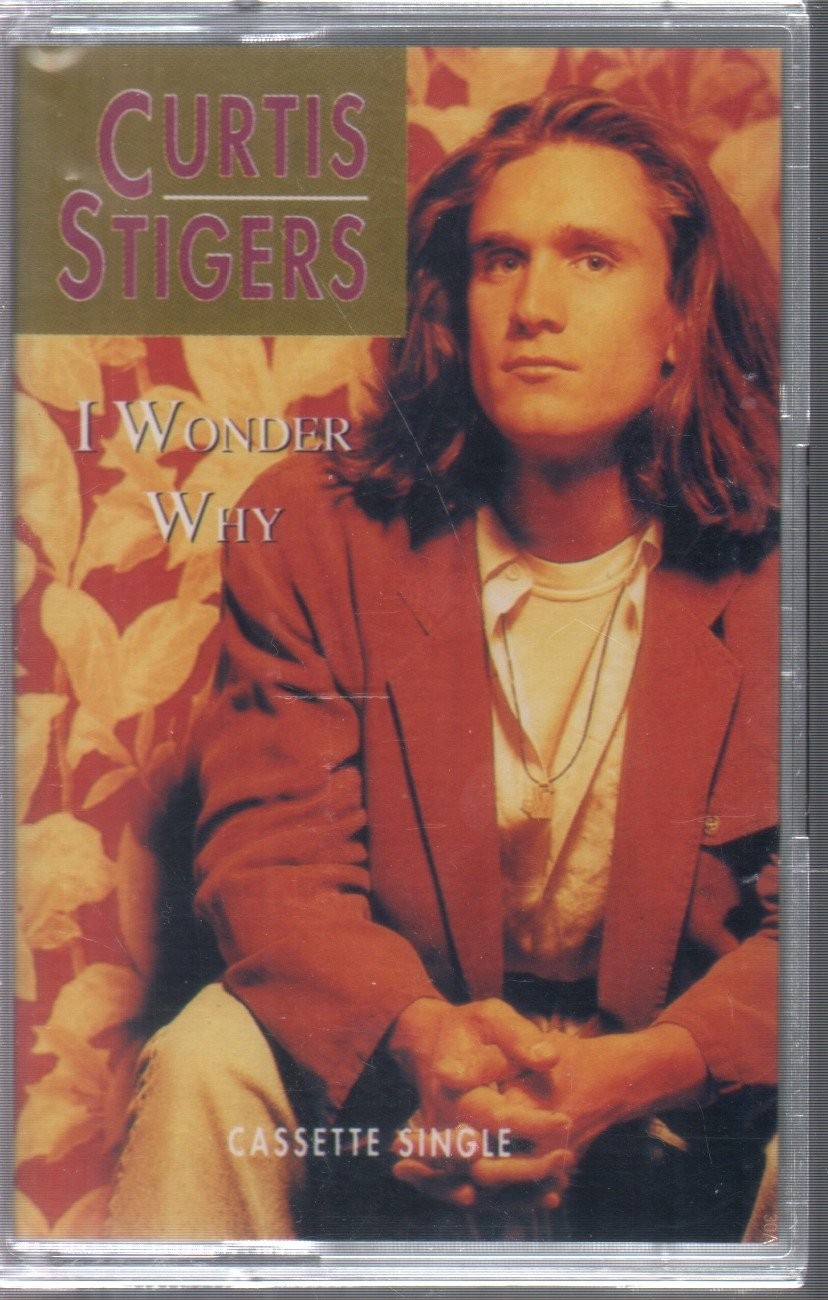 Curtis Stigers I Wonder Why cassette UK Arista 1992 cassette still sealed 412588