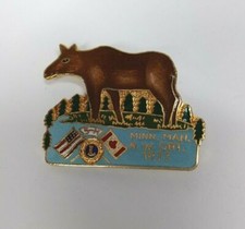 Vintage 1977 Lions Club Minn. Man. N.W. ONT. USA & Canada Collectible Lapel Pin